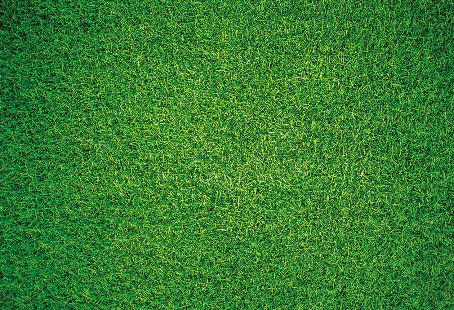 8-Quart Digital Air Fryer