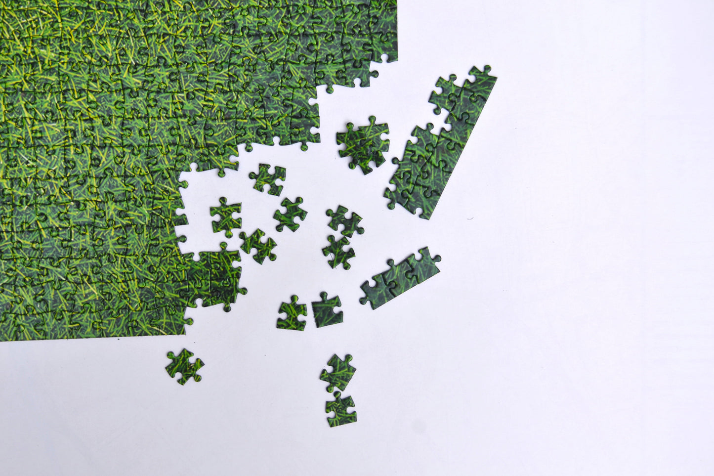 Herbe naturelle - Impuzzible n° 7 - Puzzle 1000 ou 500 pièces