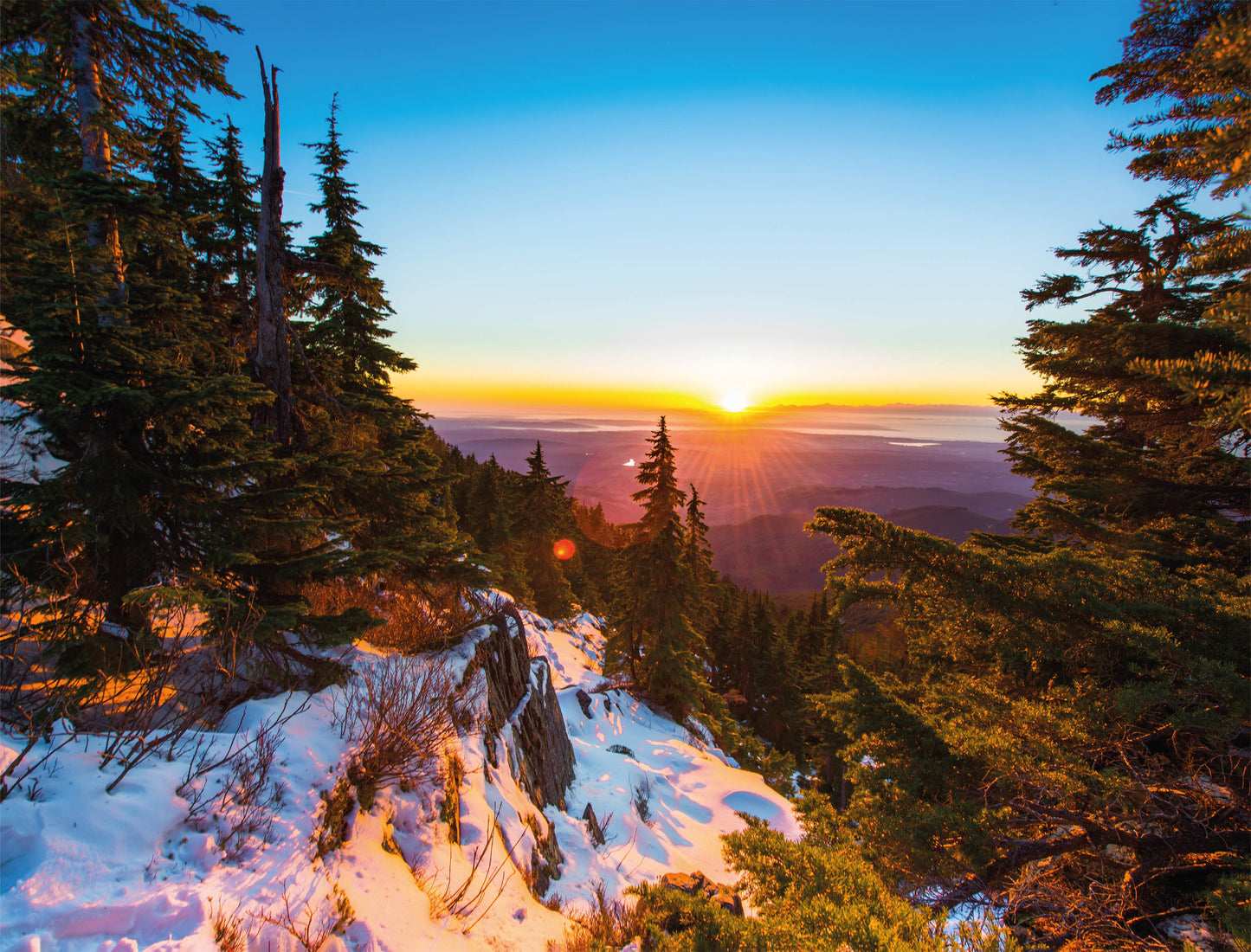 Sonnenuntergang im verschneiten Wald, 1000-teiliges Puzzle