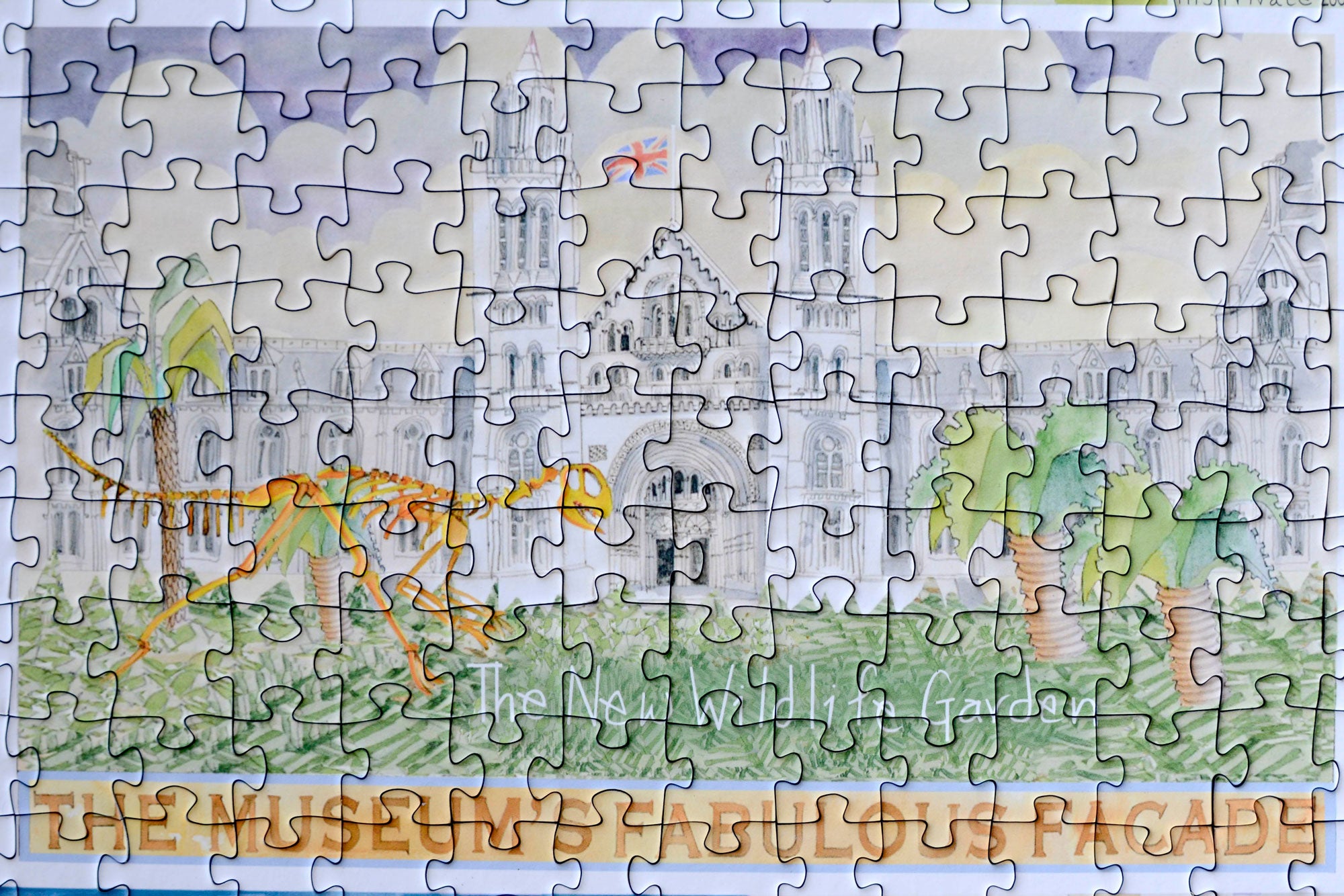 Tim Bulmer - Natural History Museum 1000 Piece Jigsaw – All Jigsaw