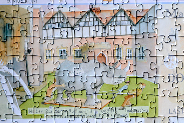 Tim Bulmer - Natural History Museum 1000 Piece Jigsaw – All Jigsaw Puzzles