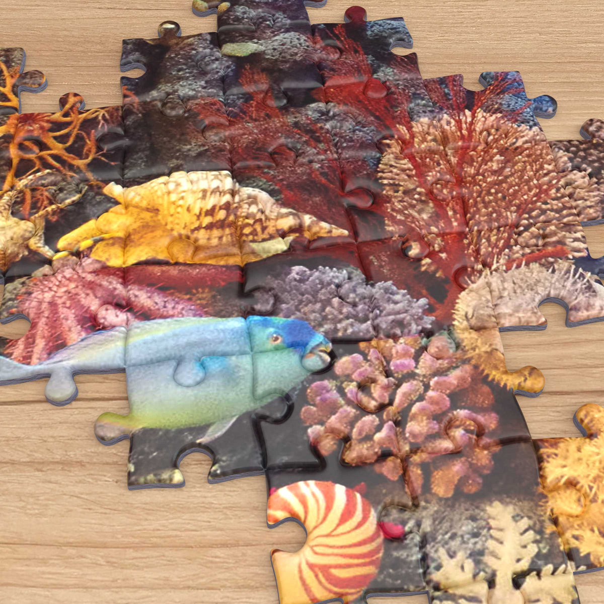 Tropische Schildkröten 1000-teiliges Puzzle