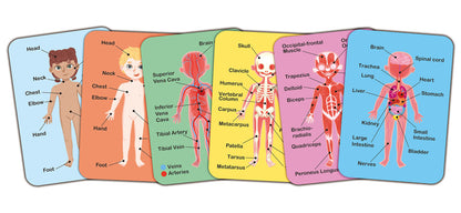 Human Body Magnetic 68 Piece Jigsaw Puzzle