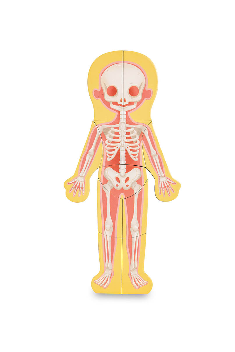 Human Body Magnetic 68 Piece Jigsaw Puzzle