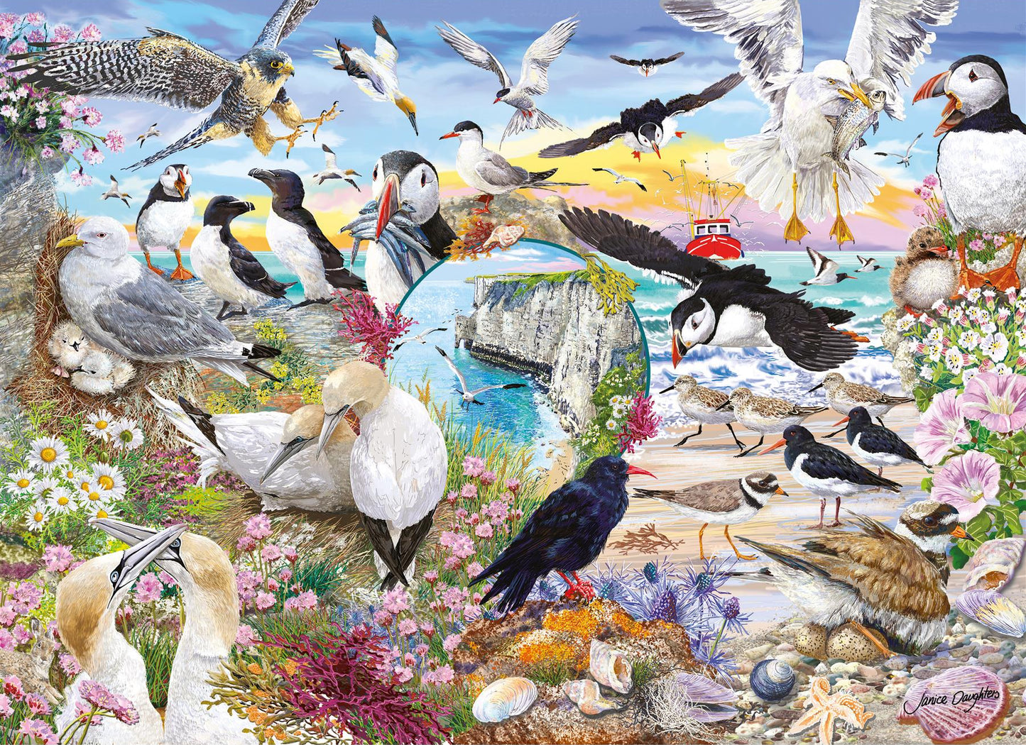 RSPB Wings in the Wild 4x500 Piece Jigsaw Puzzle