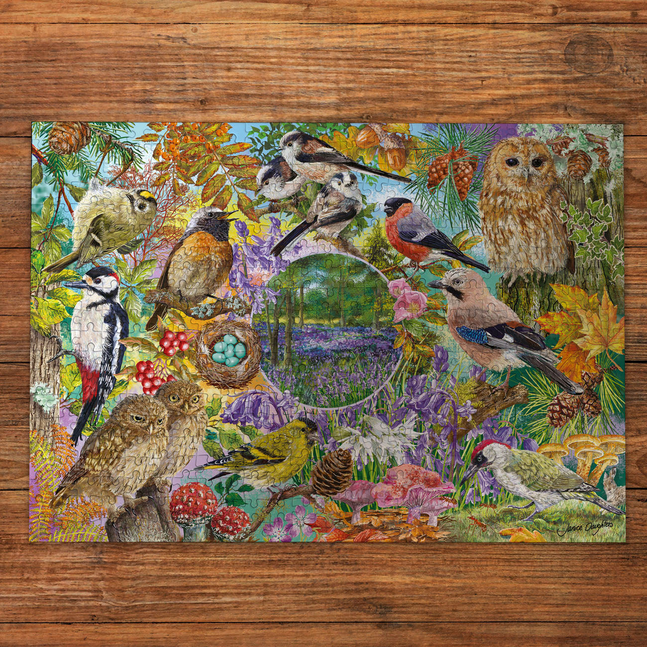 RSPB Wings in the Wild 4x500 Piece Jigsaw Puzzle