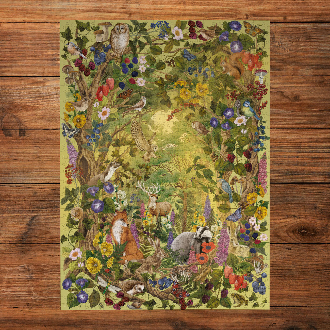 The Art File: Sunlight Glade 1000 Piece Jigsaw Puzzle