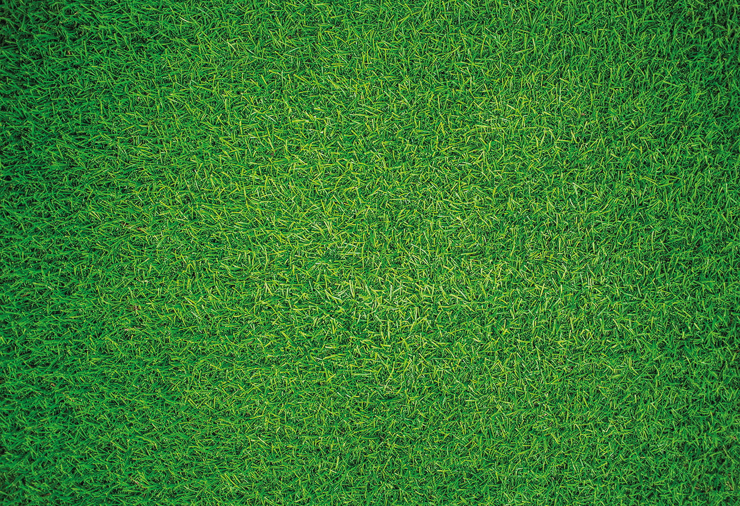 Herbe naturelle - Impuzzible n° 7 - Puzzle 1000 ou 500 pièces