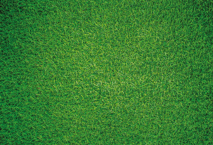 Herbe naturelle - Impuzzible n° 7 - Puzzle 1000 ou 500 pièces