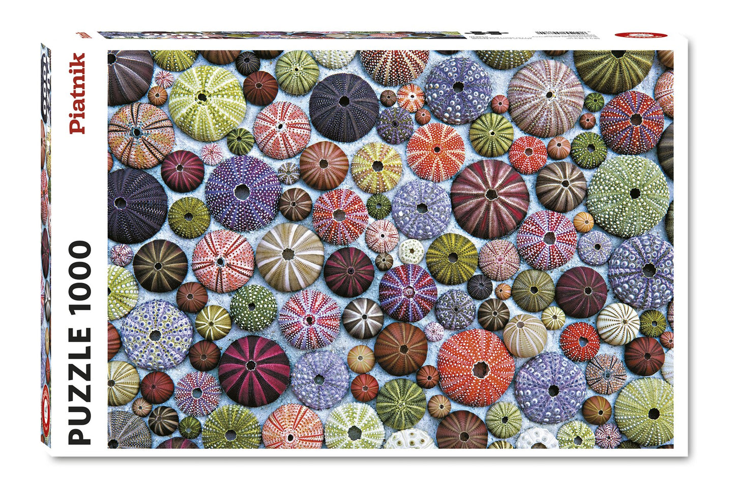 Puzzle Oursins 1000 pièces