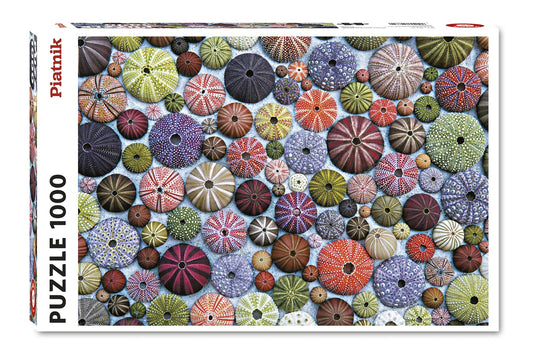 Puzzle Oursins 1000 pièces