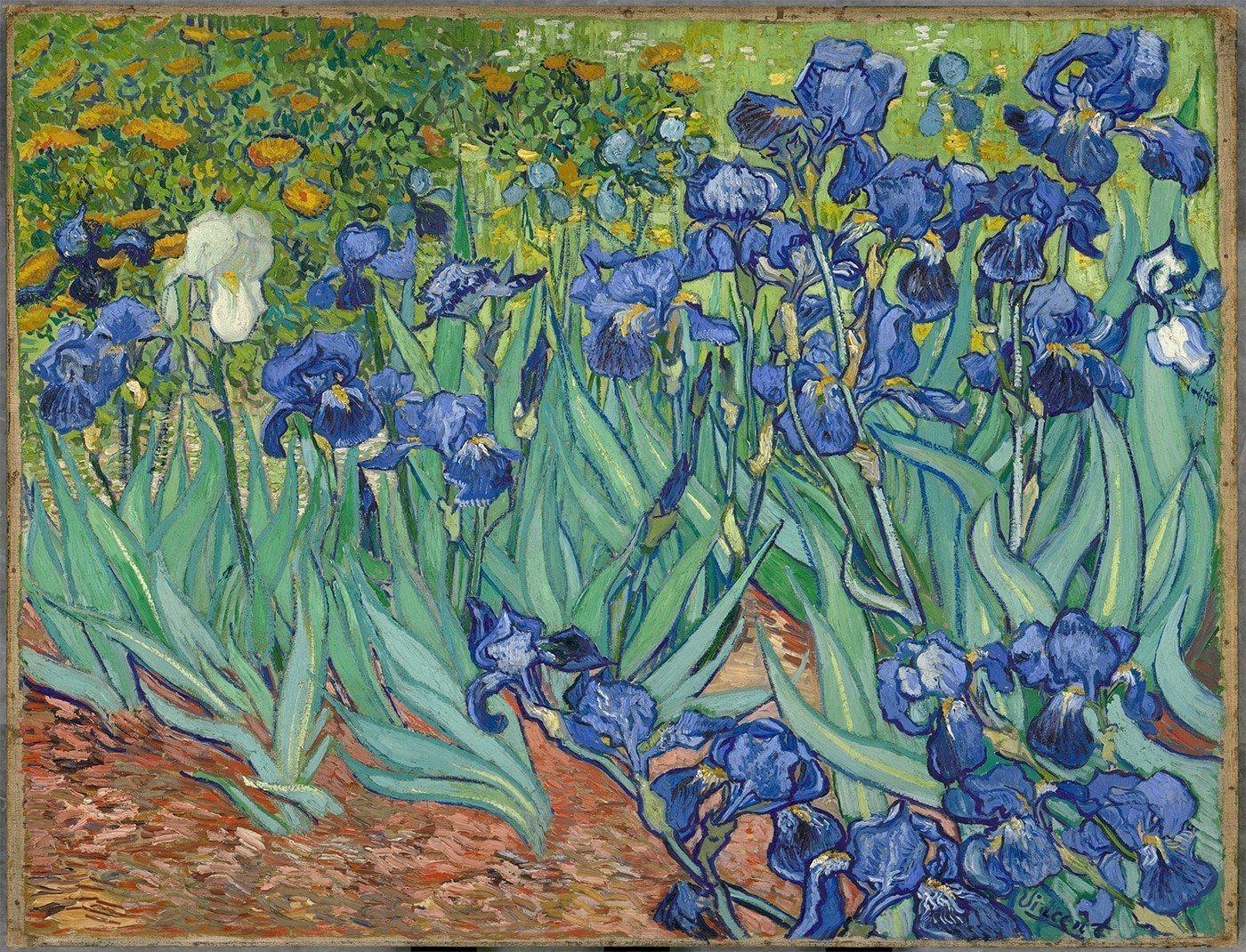 Irises by Vincent van Gogh Jigsaw Puzzle 500 Pieces