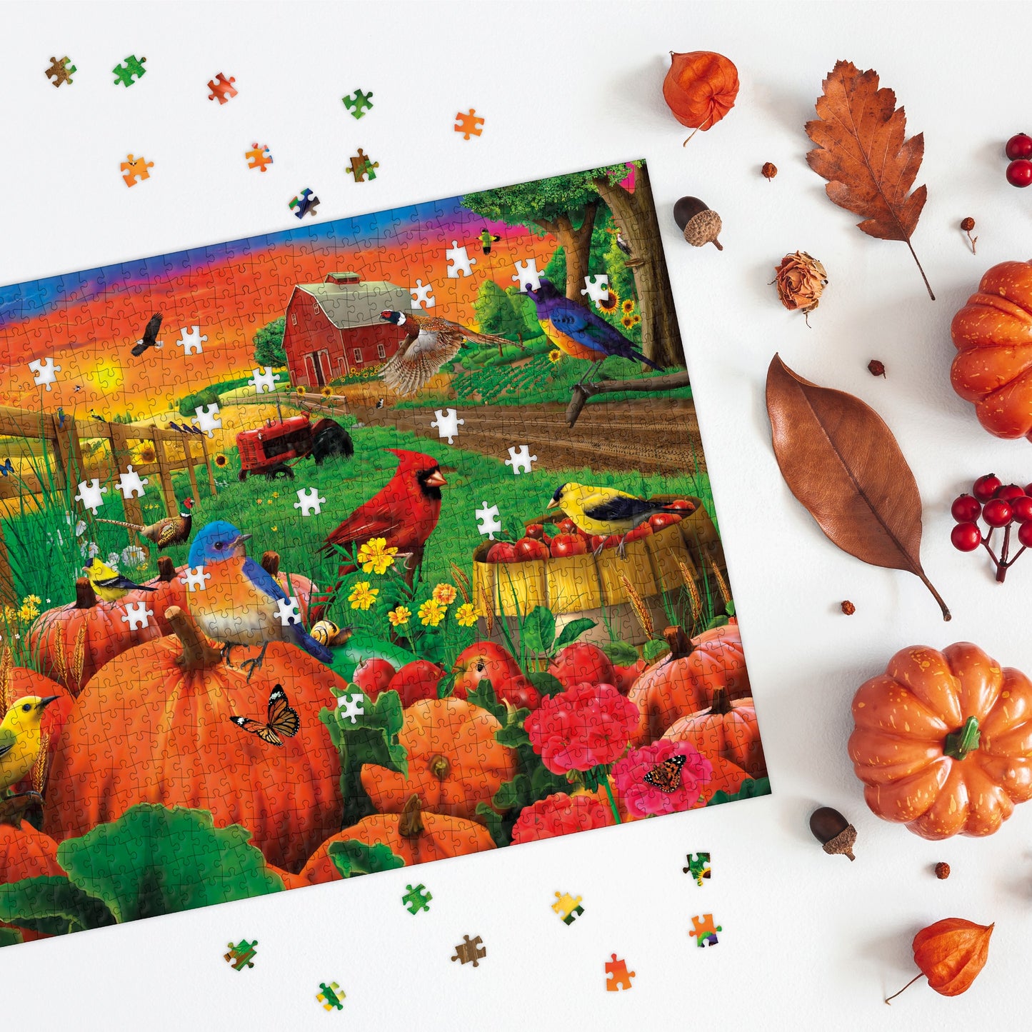 This Birds of Pumpkin farm 1000 piece jigsaw puzzle will really get you into the cosy Autumn and Halloween mood.