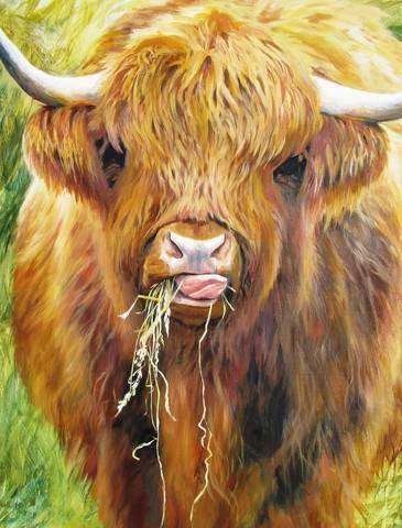 Highland Cow, 1000 Piece Jigsaw Puzzle - All Jigsaw Puzzles UK
 - 1
